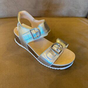 Ara - Nova (12-38510) Platinum 12G (NEW W/ BOX)